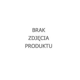 Brusný papír pro frézky TFS-100/30 zrnitost 100 Proma 25049003